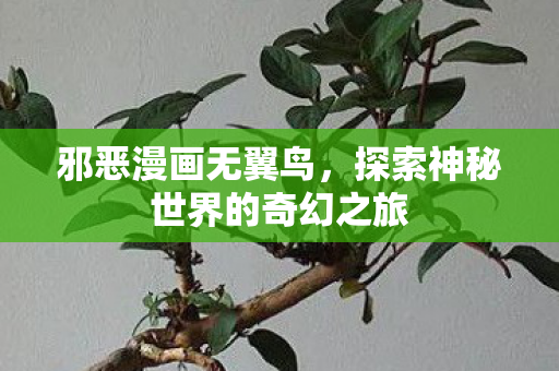 邪恶漫画无翼鸟，探索神秘世界的奇幻之旅
