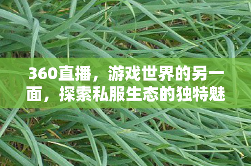 360直播，游戏世界的另一面，探索私服生态的独特魅力
