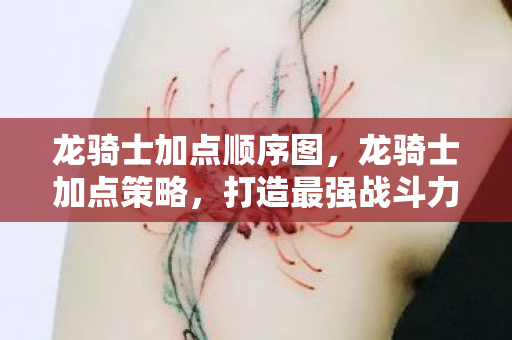 龙骑士加点顺序图，龙骑士加点策略，打造最强战斗力的关键