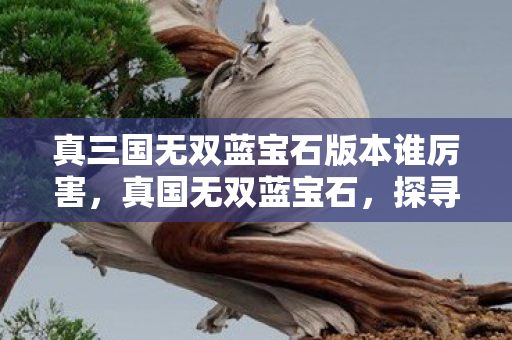 真三国无双蓝宝石版本谁厉害，真国无双蓝宝石，探寻传奇世界的璀璨瑰宝