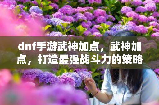 dnf手游武神加点，武神加点，打造最强战斗力的策略指南