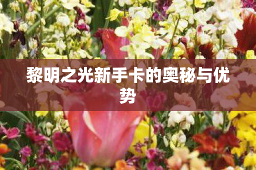 黎明之光新手卡的奥秘与优势 黎明之光新手卡的奥秘与优势