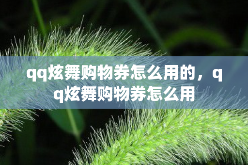 qq炫舞购物券怎么用的，qq炫舞购物券怎么用