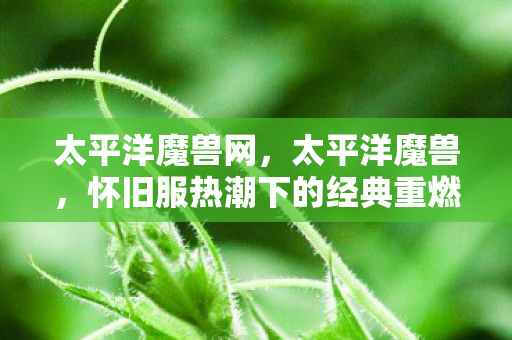 太平洋魔兽网，太平洋魔兽，怀旧服热潮下的经典重燃