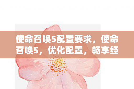 使命召唤5配置要求，使命召唤5，优化配置，畅享经典战役