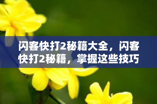 闪客快打2秘籍大全，闪客快打2秘籍，掌握这些技巧，轻松通关！