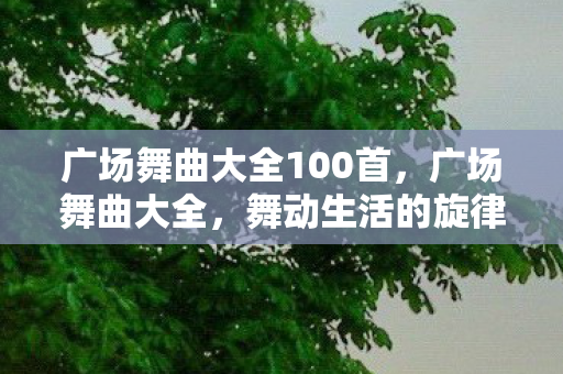 广场舞曲大全100首，广场舞曲大全，舞动生活的旋律