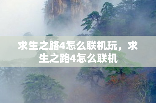 求生之路4怎么联机玩，求生之路4怎么联机