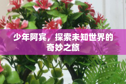 少年阿宾，探索未知世界的奇妙之旅