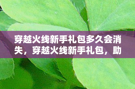 穿越火线新手礼包多久会消失，穿越火线新手礼包，助你快速上手的绝佳选择