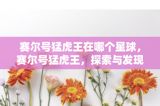赛尔号猛虎王在哪个星球，赛尔号猛虎王，探索与发现的奇妙之旅