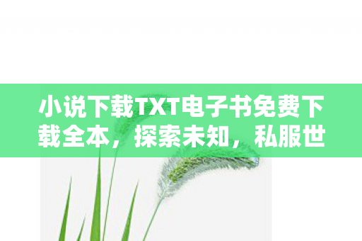 小说下载TXT电子书免费下载全本，探索未知，私服世界的奇妙之旅