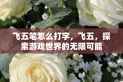 飞五笔怎么打字，飞五，探索游戏世界的无限可能
