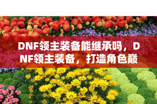 DNF领主装备能继承吗，DNF领主装备，打造角色巅峰的必备神器