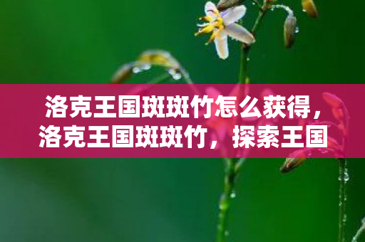 洛克王国斑斑竹怎么获得，洛克王国斑斑竹，探索王国中的神秘竹林