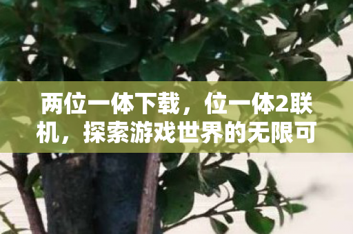 两位一体下载，位一体2联机，探索游戏世界的无限可能