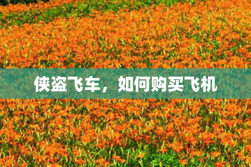 侠盗飞车,如何购买飞机 侠盗飞车,如何购买飞机
