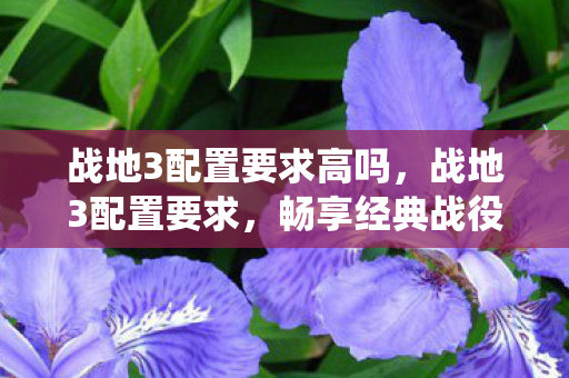 战地3配置要求高吗，战地3配置要求，畅享经典战役的硬件门槛