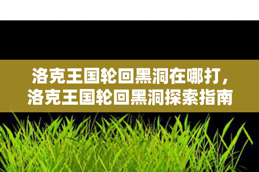 洛克王国轮回黑洞在哪打，洛克王国轮回黑洞探索指南
