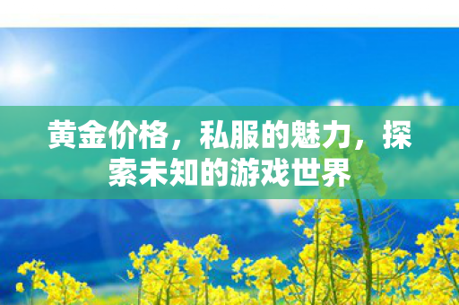 黄金价格，私服的魅力，探索未知的游戏世界