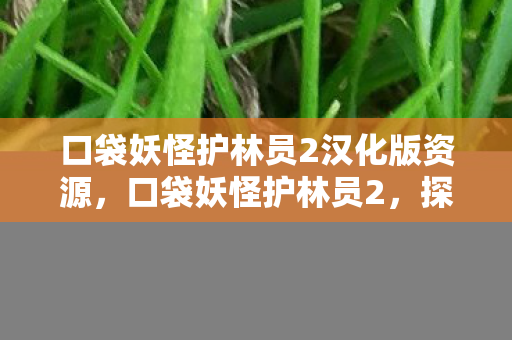 口袋妖怪护林员2汉化版资源，口袋妖怪护林员2，探索与守护的奇妙之旅
