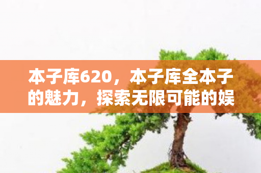 本子库620，本子库全本子的魅力，探索无限可能的娱乐世界