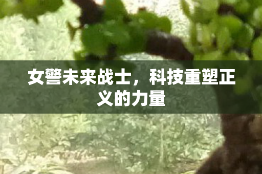 女警未来战士，科技重塑正义的力量