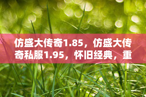 仿盛大传奇1.85，仿盛大传奇私服1.95，怀旧经典，重温传奇