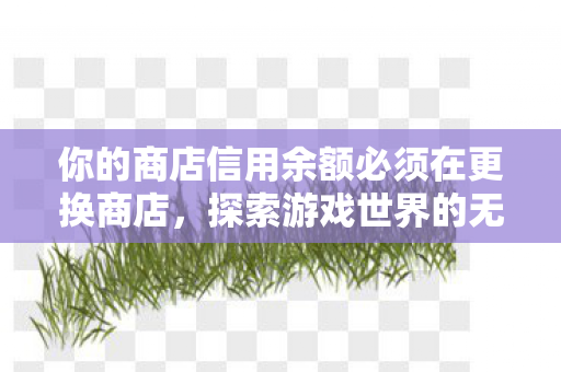 你的商店信用余额必须在更换商店，探索游戏世界的无限可能，私服与官方服务器的独特魅力