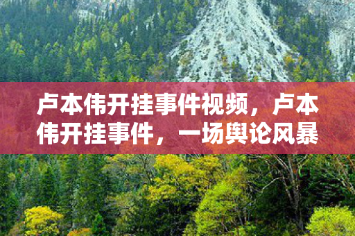 卢本伟开挂事件视频，卢本伟开挂事件，一场舆论风暴的启示