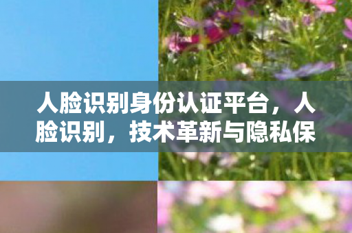 人脸识别身份认证平台，人脸识别，技术革新与隐私保护的双重挑战
