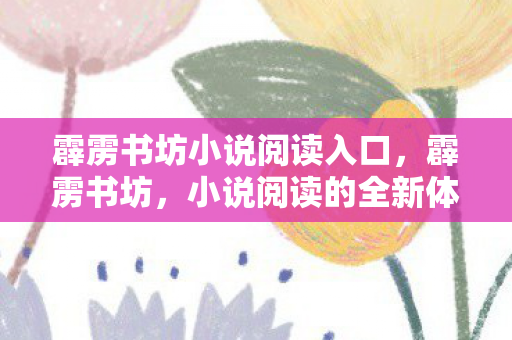 霹雳书坊小说阅读入口，霹雳书坊，小说阅读的全新体验