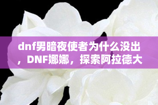 dnf男暗夜使者为什么没出，DNF娜娜，探索阿拉德大陆的无限可能