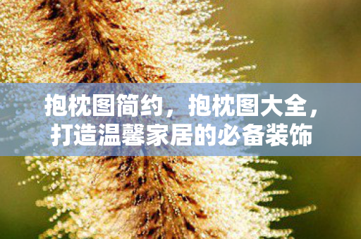 抱枕图简约，抱枕图大全，打造温馨家居的必备装饰