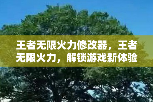 王者无限火力修改器，王者无限火力，解锁游戏新体验，探索无限可能