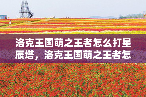 洛克王国萌之王者怎么打星辰塔，洛克王国萌之王者怎么打