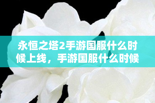 永恒之塔2手游国服什么时候上线，手游国服什么时候上线，期待与解析