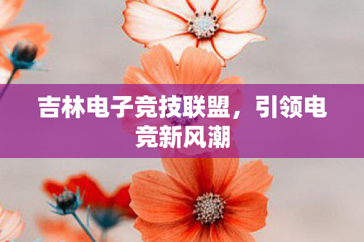 吉林电子竞技联盟，引领电竞新风潮