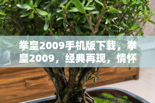 拳皇2009手机版下载，拳皇2009，经典再现，情怀与创新的完美融合