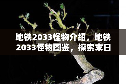 地铁2033怪物介绍，地铁2033怪物图鉴，探索末日的恐怖生物