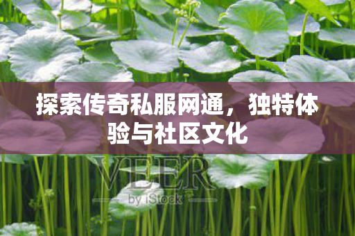 探索传奇私服网通，独特体验与社区文化