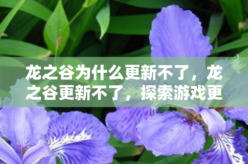 龙之谷为什么更新不了，龙之谷更新不了，探索游戏更新困境的深层原因