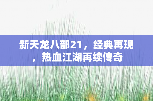 新天龙八部21，经典再现，热血江湖再续传奇