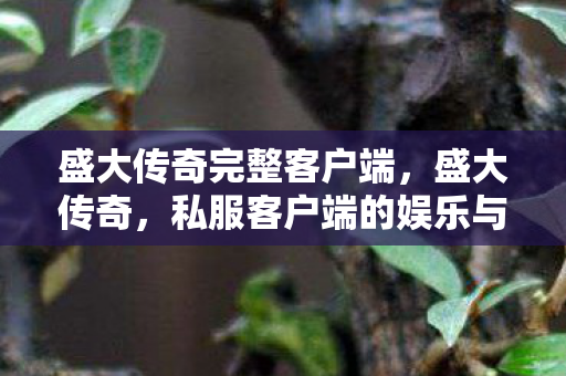 盛大传奇完整客户端，盛大传奇，私服客户端的娱乐与社交新体验