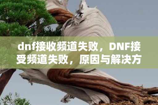 dnf接收频道失败，DNF接受频道失败，原因与解决方案