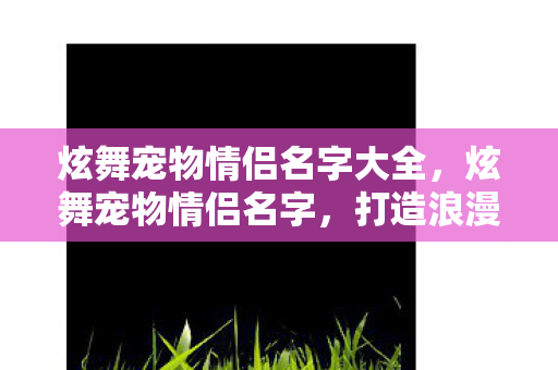 炫舞宠物情侣名字大全，炫舞宠物情侣名字，打造浪漫情缘的专属昵称
