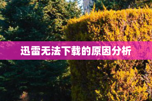 迅雷无法下载的原因分析 迅雷无法下载的原因分析