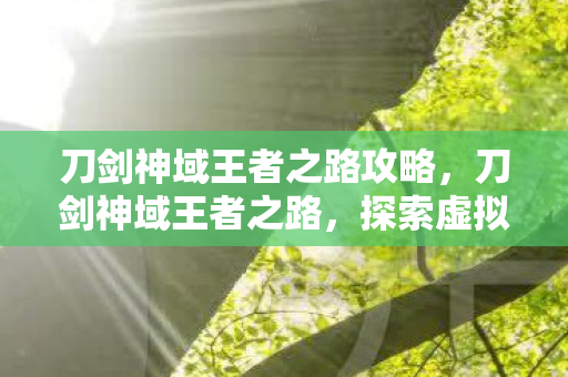 刀剑神域王者之路攻略，刀剑神域王者之路，探索虚拟世界的无尽征途
