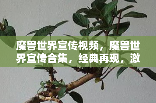 魔兽世界宣传视频，魔兽世界宣传合集，经典再现，激情燃烧的岁月