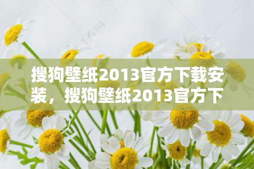 搜狗壁纸2013官方下载安装，搜狗壁纸2013官方下载，打造个性化桌面，从官方渠道开始